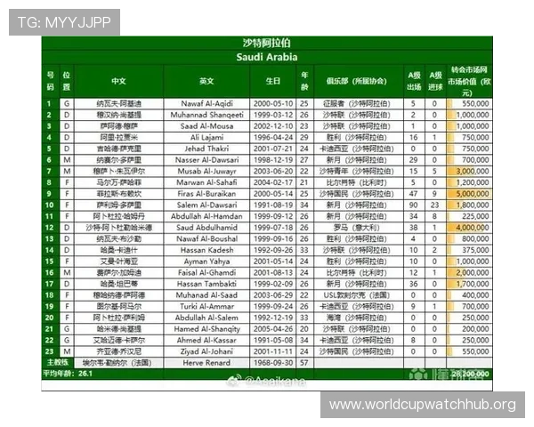 2026美加墨世界杯南美区预选赛赛场环境与观赛体验全方位指南